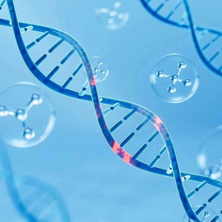 <b>科学家在横纹肌肉瘤中发现将癌细胞转化为肌肉组织的关键</b>