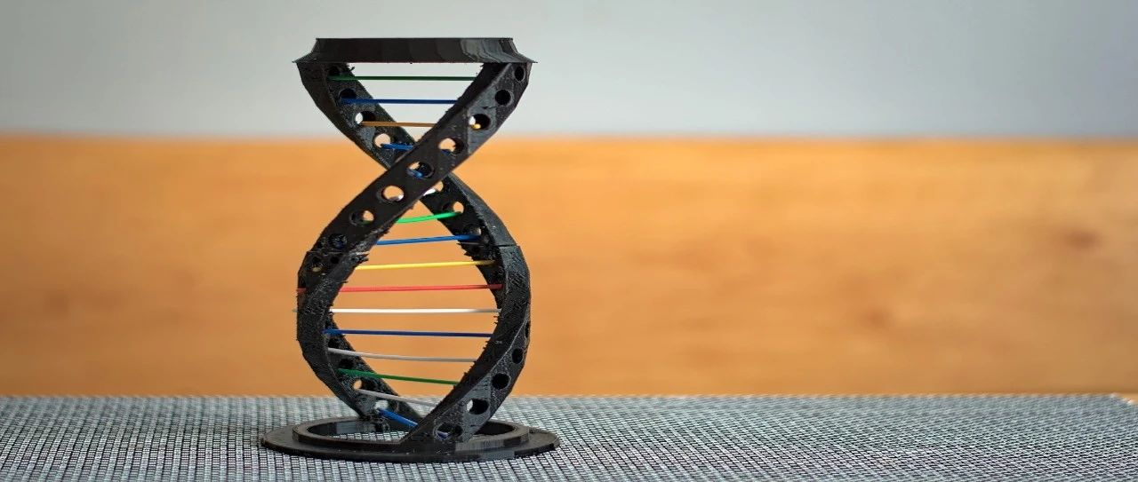 <b>糖尿病药物二甲双胍延长健康寿命背后的分子机制</b>
