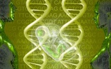 基因组测序技术有望推动胎儿产前诊断大发展