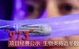 “973”项目经费公示  生物类将近半数