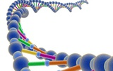 日本将分析50万患者的DNA