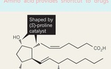 Nature评论：有机催化新技术为新药研发提供捷径