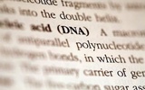 哈佛科学家在DNA芯片中成功存储电子书