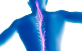 PNAS：两分子向神经细胞发送疼痛信号