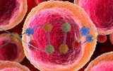 外周T细胞淋巴瘤首次全基因组测序揭其诊断标记