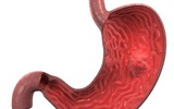 Nature: 胃癌或与两基因变异相关