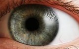 太阳能电池板植入眼睛可改善视力