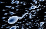 Cell：JQ1分子为男性避孕药研究带来新进展