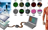 芯片上的人体加速医药研发