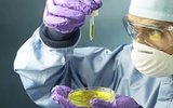 再生医学新突破：分离脂肪干细胞有望改变干细胞分化畸胎瘤的命运