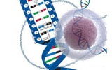 Science：谢晓亮院士研发出单细胞测序新技术