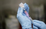 FDA批准2012-2013年季节性流感疫苗