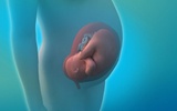 孕妇血浆可诊断后代遗传背景     生物信息应用前景广阔