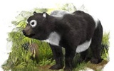 研究发现熊猫的“表亲”曾生活在西班牙