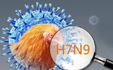 美国生物公司研发出首个H7N9禽流感疫苗