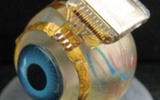 新型生物视网膜可使盲人恢复简单的黑白视力