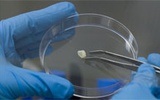 裴端卿用尿液干细胞再生牙齿 引发多方争议