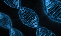 多组学研究发现肺癌诊疗潜在靶标
