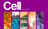 Cell重磅发布：2017年度十大最佳论文出炉！（免疫疗法、肠道菌群、人工智能…