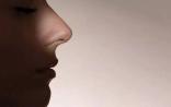 Science：根据分子结构预测气味？AI再胜一筹