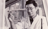 记“中国造血干细胞之父”中国科学院院士吴祖泽