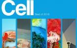 Cell：2016年度最佳文章出炉！（基因编辑、免疫疗法、Zika病毒、冷冻电镜……）