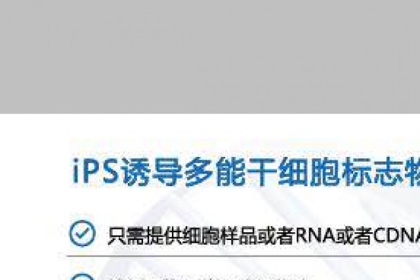 iPS诱导多能干细胞标志物检测服务