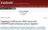 Nature发布癌症免疫疗法新突破：CRISPR构建更有效的CAR-T细胞