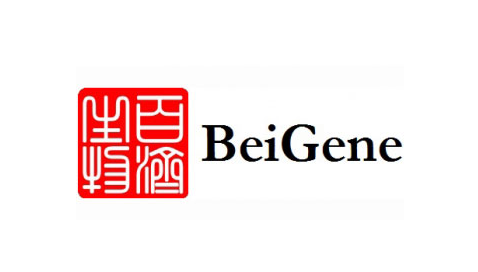 <b>瞄准鼻咽癌！百济神州抗PD-1抗体药物百泽安®新适应症上市申请在中国获受理</b>