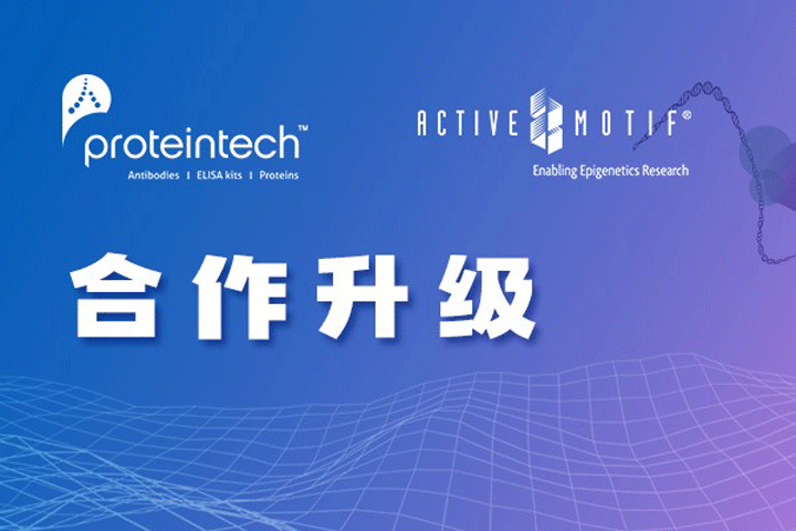 <b>Proteintech战略投资表观遗传学专家Active Motif，完善“人类抗体组计划”！</b>