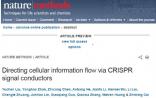 Nature Methods：中国科学家发表基因编辑新成果