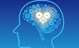 多种精神疾病竟与小脑结构变化有关！？