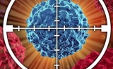 防止癌症复发不是梦，科学家已找到耐药癌细胞共同弱点