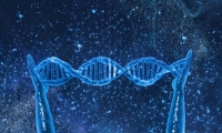 CRISPR再添新丁！新工具可以“粉碎”DNA