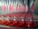 Nature：组学研究让生物制药迈入后后现代阶段