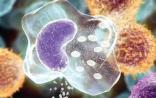 中国科学家Nature发文揭示细胞死亡新机制