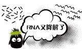RNA提取又不合格？那你一定需要了解这些~