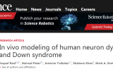 Science：创建人脑“入口”，解析唐氏综合征对大脑的影响