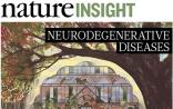 Nature特刊刊登6篇关于神经退行性疾病的综述，为您逐一解说