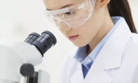 我科学家发现肝细胞癌精准治疗的潜在新靶点