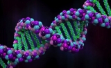 未来个体基因组数据存储空间不够怎么办？这家以色列企业有妙招