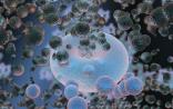 Cell： 让干细胞10天内完成分化的黑科技