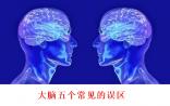 关于大脑五个常见的误区