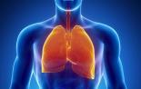 Nature惊人发现：改写教科书！肺的新功能——造血