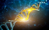 Nature、Cell相继发布多项重磅成果，精准医学进入基因大数据时代！