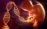 BioWeek一周资讯回顾：用“匠人精神”推动三代试管婴儿，这家生殖领域的“苹