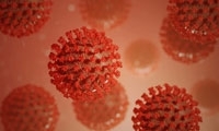 天津本土新发病例病毒基因测序与新发地病例病毒序列相同
