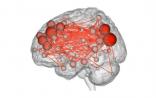 Nature：神经活动存在特异性，大脑扫描或可成为新“指纹”