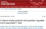 Nature子刊：阻断抗癌免疫细胞的独特细胞群