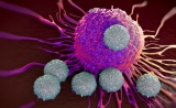 NEJM：一种新药可治17种癌症，有效率为75%